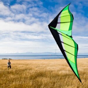 Beginner Stunt Kites