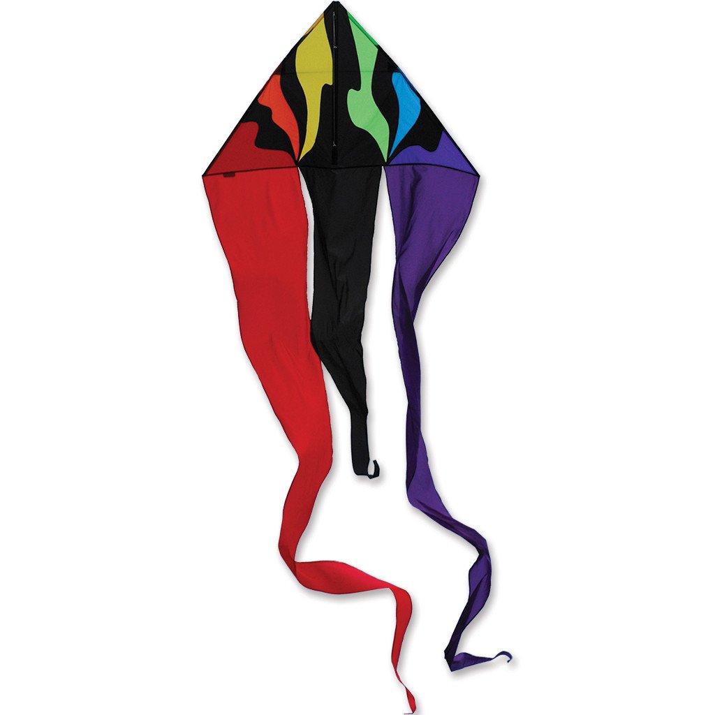 Rainbow Delta Kite (2 Sets) 46 Inch X 28 Inch With Long Tails With Flying  Line And Handle [並行輸入品] スポーツトイ・アクショントイ
