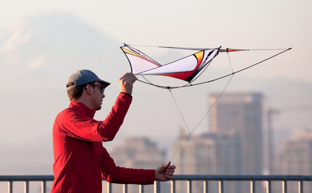 Kite Flite San Diego Kites, Windsocks And Flying Toys From Kite Flite